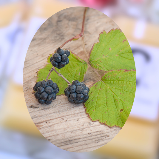 Dewberry