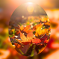 Ember Leaf