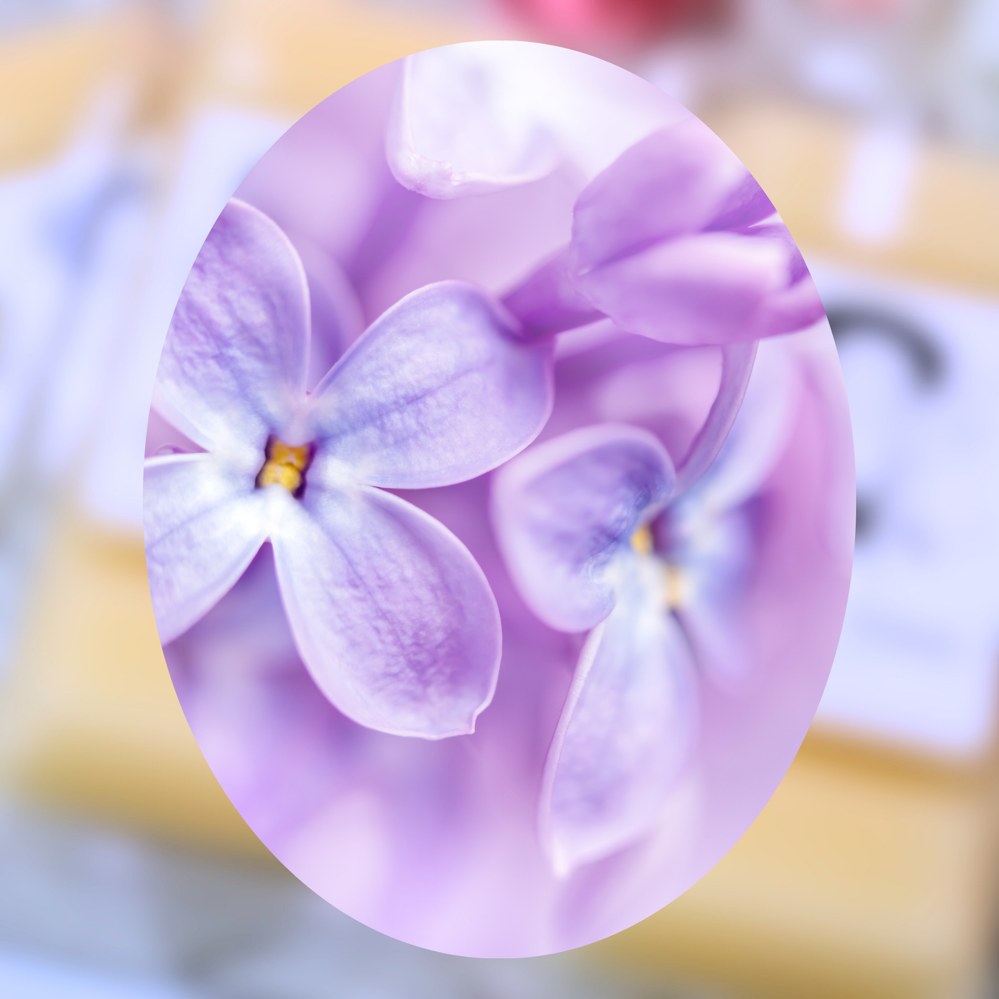 Lilac