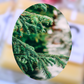 Winter Fir