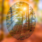 Woodland Whispers